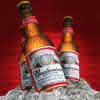 Budweiser